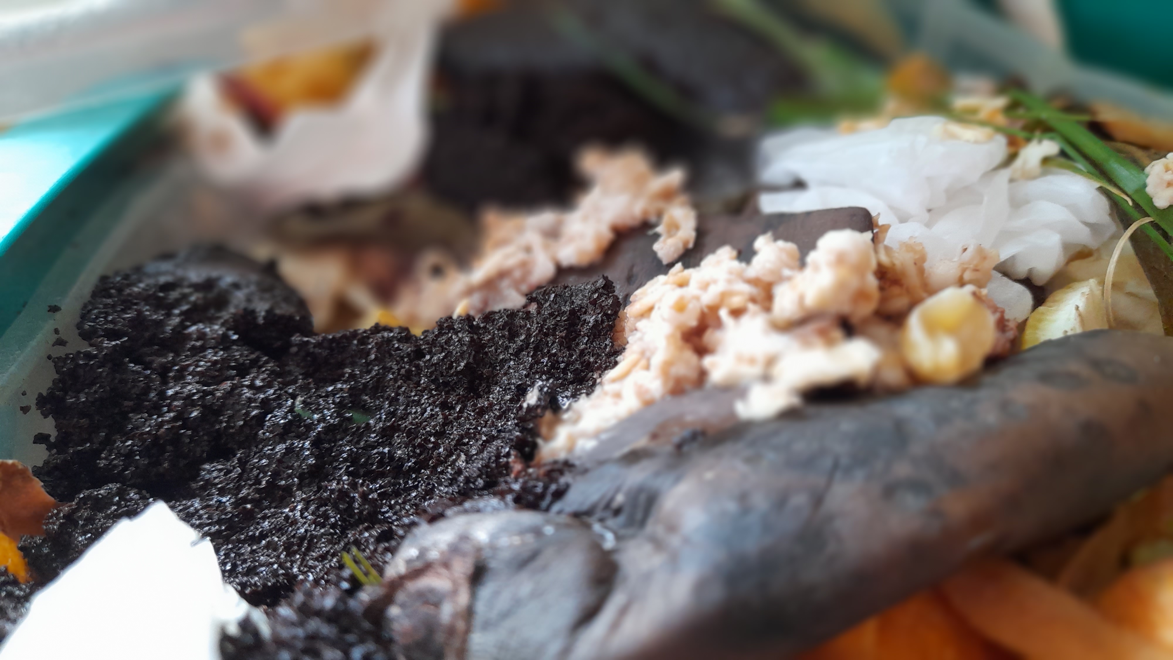 Compost y Bici eléctrica: motivación, economía circular y sin contaminación